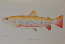 Load image into Gallery viewer, Forest, Fish and Game Commission, 9 color fish by Denton, 16 birds by Fuentes