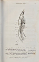 Load image into Gallery viewer, Buffalo Medical Journal and Monthly Review (Volume 9), June, 1853 - May 1854