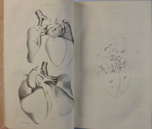 Load image into Gallery viewer, Buffalo Medical Journal and Monthly Review (Volume 11), 1855-1856
