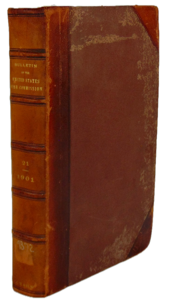 Bulletin of the United States Fish Commission. Vol. XXI, for 1901, ALASKA Salmon