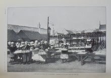 Load image into Gallery viewer, Bulletin of the United States Fish Commission. Vol. XXI, for 1901, ALASKA Salmon