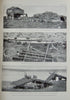 Bulletin of the United States Fish Commission. Vol. XXI, for 1901, ALASKA Salmon