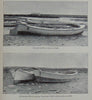 Bulletin of the United States Fish Commission. Vol. XXI, for 1901, ALASKA Salmon