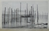 Bulletin of the United States Fish Commission. Vol. XXI, for 1901, ALASKA Salmon