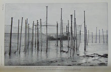 Load image into Gallery viewer, Bulletin of the United States Fish Commission. Vol. XXI, for 1901, ALASKA Salmon