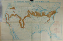 Load image into Gallery viewer, Special Report on the Beet-Sugar Industry in the United States, 1898