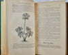 1862 The Magazine of Horticulture, Botany, and Useful Discoveries