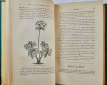 Load image into Gallery viewer, 1862 The Magazine of Horticulture, Botany, and Useful Discoveries