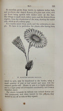 Load image into Gallery viewer, 1863 The Magazine of Horticulture, Botany, and Useful Discoveries