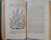 1866 The Magazine of Horticulture, Botany, and Useful Discoveries