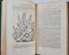 1866 The Magazine of Horticulture, Botany, and Useful Discoveries (copy 2)