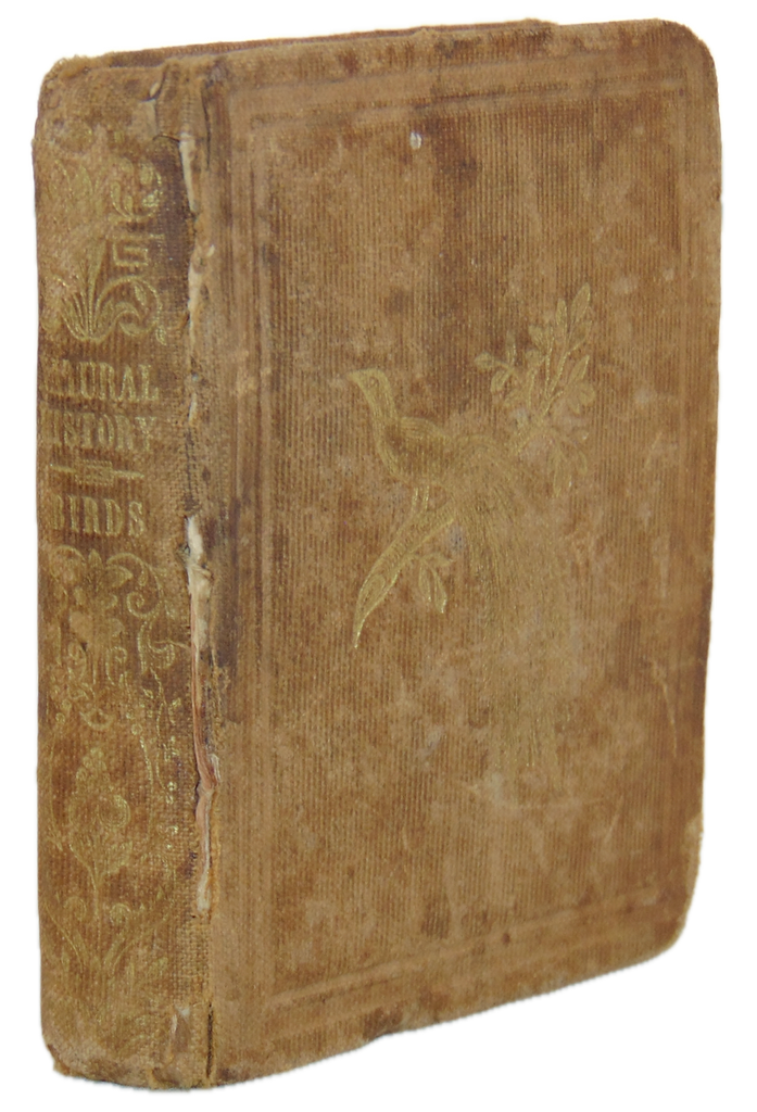 Child's Natural History of Birds, illustrated.  ca. 1850 miniature