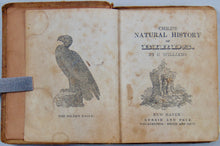 Load image into Gallery viewer, Child's Natural History of Birds, illustrated.  ca. 1850 miniature