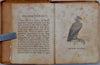 Child's Natural History of Birds, illustrated.  ca. 1850 miniature