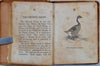 Child's Natural History of Birds, illustrated.  ca. 1850 miniature