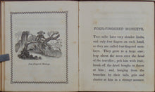 Load image into Gallery viewer, [ILLUSTRATED ANIMALS]  Useful Little Stories (Aunt Mary's Library No. 1) 1841