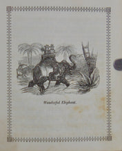 Load image into Gallery viewer, [ILLUSTRATED ANIMALS]  Useful Little Stories (Aunt Mary's Library No. 1) 1841