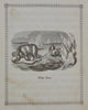 [ILLUSTRATED ANIMALS]  Useful Little Stories (Aunt Mary's Library No. 1) 1841