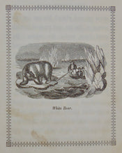 Load image into Gallery viewer, [ILLUSTRATED ANIMALS]  Useful Little Stories (Aunt Mary's Library No. 1) 1841