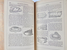 Load image into Gallery viewer, The New Cyclopedia of Domestic Economy, and Practical Housekeeper, 5000 Recipies
