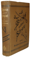 Bricks Without Straw, A Novel, 1880 Ku Klux Klan, Southern Reconstruction