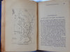 Life and Military Career of Winfield Scott Hancock, 1880 Presidential Campaign