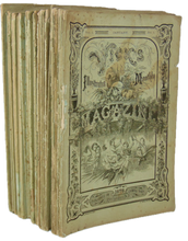 Load image into Gallery viewer, [CHROMOLITHOGRAPH] 20 Plates in Vick's Illustrated Monthly Magazine, 1878-1890