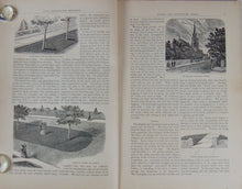 Load image into Gallery viewer, [CHROMOLITHOGRAPH] 20 Plates in Vick's Illustrated Monthly Magazine, 1878-1890