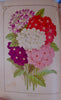 [CHROMOLITHOGRAPH] 20 Plates in Vick's Illustrated Monthly Magazine, 1878-1890