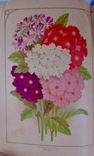 Load image into Gallery viewer, [CHROMOLITHOGRAPH] 20 Plates in Vick's Illustrated Monthly Magazine, 1878-1890
