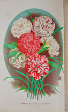 Load image into Gallery viewer, [CHROMOLITHOGRAPH] 20 Plates in Vick's Illustrated Monthly Magazine, 1878-1890