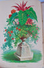 [CHROMOLITHOGRAPH] 20 Plates in Vick's Illustrated Monthly Magazine, 1878-1890