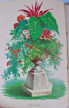 Load image into Gallery viewer, [CHROMOLITHOGRAPH] 20 Plates in Vick's Illustrated Monthly Magazine, 1878-1890