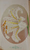 [CHROMOLITHOGRAPH] 20 Plates in Vick's Illustrated Monthly Magazine, 1878-1890