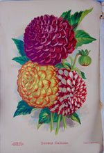 Load image into Gallery viewer, [CHROMOLITHOGRAPH] 20 Plates in Vick's Illustrated Monthly Magazine, 1878-1890
