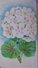 [CHROMOLITHOGRAPH] 20 Plates in Vick's Illustrated Monthly Magazine, 1878-1890
