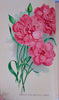 [CHROMOLITHOGRAPH] 20 Plates in Vick's Illustrated Monthly Magazine, 1878-1890