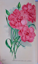 Load image into Gallery viewer, [CHROMOLITHOGRAPH] 20 Plates in Vick's Illustrated Monthly Magazine, 1878-1890