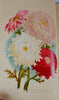 [CHROMOLITHOGRAPH] 20 Plates in Vick's Illustrated Monthly Magazine, 1878-1890
