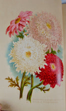 Load image into Gallery viewer, [CHROMOLITHOGRAPH] 20 Plates in Vick's Illustrated Monthly Magazine, 1878-1890