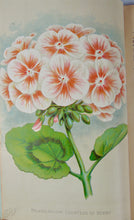 Load image into Gallery viewer, [CHROMOLITHOGRAPH] 20 Plates in Vick's Illustrated Monthly Magazine, 1878-1890