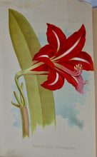 Load image into Gallery viewer, [CHROMOLITHOGRAPH] 20 Plates in Vick's Illustrated Monthly Magazine, 1878-1890