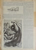 Scientific American Supplement, 1891. Volume XXXI. Nos. 738-808