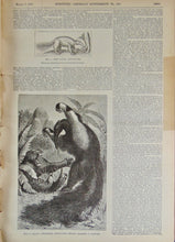 Load image into Gallery viewer, Scientific American Supplement, 1892. Volume XXXIII. Nos. 835-860