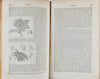 A Commentary on the Pharmacopoeias of Great Britain & the United States (1848)