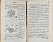 Load image into Gallery viewer, A Commentary on the Pharmacopoeias of Great Britain &amp; the United States (1848)