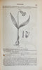 A Commentary on the Pharmacopoeias of Great Britain & the United States (1848)