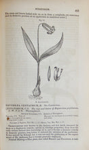 Load image into Gallery viewer, A Commentary on the Pharmacopoeias of Great Britain &amp; the United States (1848)