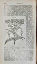 Load image into Gallery viewer, A Commentary on the Pharmacopoeias of Great Britain &amp; the United States (1848)