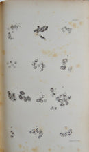 Load image into Gallery viewer, Carpenter, 1846 Elements of Physiology, including Physiological Anatomy